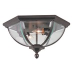 Britannia Outdoor Ceiling Light Fixture - Oiled Bronze / Clear