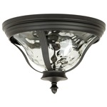 Frances Outdoor Ceiling Light Fixture - Oiled Bronze / Clear Hammered