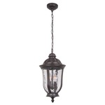 Frances Outdoor Pendant - Oiled Bronze / Clear Hammered