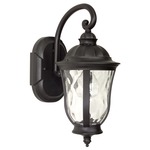 Frances Hanging Outdoor Wall Light - Oiled Bronze / Clear Hammered