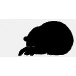 Sei, LOrso Art Print - 