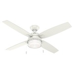 Ocala Outdoor Ceiling Fan with Light - Fresh White / Clear
