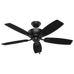 Sea Wind Outdoor Ceiling Fan - Matte Black