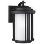Crowell Dark Sky Outdoor Wall Light - Black / Satin Etched
