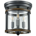 Niagara Flush Mount Ceiling Light - Graphite / Clear