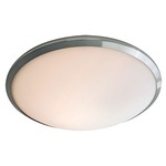 Essex Flush Mount Ceiling/Wall Light - Buffed Nickel / Opal