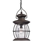 Village Outdoor Pendant - Weathered Charcoal / Clear Seeded