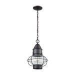 Onion Outdoor Pendant - Oil Rubbed Bronze / Clear Seeded