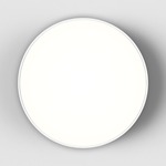 Febe Wall / Ceiling Light - White