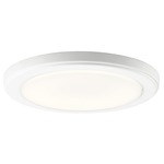 Zeo Flush Mount Ceiling / Wall Light - White / White