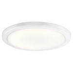 Zeo Flush Mount Ceiling / Wall Light - White / White