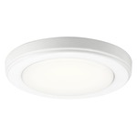 Zeo Flush Mount Ceiling / Wall Light - White / White