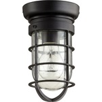 Bowery Outdoor Ceiling Light Fixture - Noir / Clear