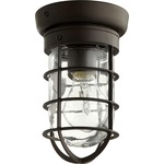 Bowery Outdoor Ceiling Light Fixture - Oiled Bronze / Clear