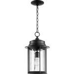 Charter Outdoor Pendant - Noir / Clear Hammered