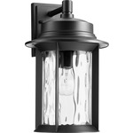 Charter Outdoor Wall Light - Noir / Clear Hammered