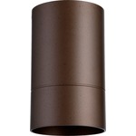 Cylinder Outdoor Ceiling Light Fixture - Oiled Bronze