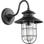 Moriarty Outdoor Wall Light - Noir / Clear Seeded