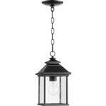 Pearson Outdoor Pendant - Noir / Clear Seeded