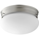 Signature Blob Ceiling Light Fixture - Satin Opal / Satin Nickel