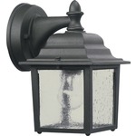 Signature 793 Outdoor Wall Light - Black / Clear Water