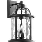 Winston Outdoor Wall Light - Noir / Clear Hammered