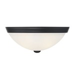 Curved Glass Ceiling Light Fixture - Black / White Etched