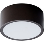 Peepers 5 Inch Wall / Ceiling Light - Oiled Bronze / Matte White