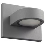 Eris Outdoor Wall Sconce - Gray / Frosted