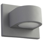 Eris Outdoor Wall Sconce - Gray / Frosted