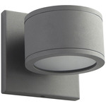 Ceres Outdoor Wall Sconce - Gray / Frosted