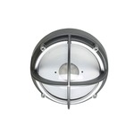 Skot Outdoor Ceiling Light Fixture - Silver / Clear