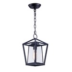 Artisan Outdoor Pendant - Black / Clear