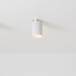 Surface Ceiling Light Fixture - Brushed Brass / Matte White