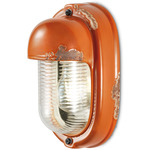 Vintage Bulkhead Vertical Wall Light - Vintage Orange / Clear