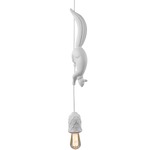 Sherwood and Robin Pendant - Matte White / Matte White