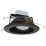 Cobalt RD Retrofit Adjustable Downlight - Bronze Reflector / Bronze Flange