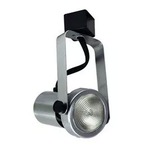 Gimbal Ring H-Style PAR20 120V Track Light - Natural Metal