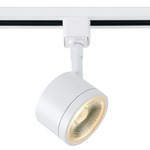 H Series 2IN LED 120V Round Track Head - White / Clear
