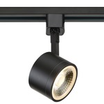 H Series 2IN LED 120V Round Track Head - Black / Clear