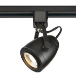 H Series 2IN LED 120V Pinch Back Track Head - Black / Clear