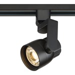 H Series 2IN LED 120V Angle Arm Track Head - Black / Clear