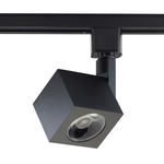 H Series 2IN LED 120V Square Track Head - Black / Clear