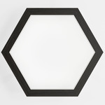 Hexagon Wall Light - Black Oak