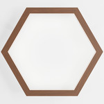 Hexagon Wall Light - Walnut