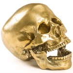 Diesel Wunderkammer Human Skull - Gold
