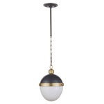 Otis Pendant - Blackened Brass / Natural Brass / Frosted