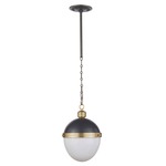 Otis Pendant - Blackened Brass / Natural Brass / Frosted