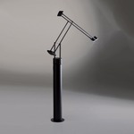 Tizio 35 Floor Lamp - Black / Black