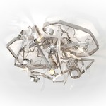 Delphinium Ceiling Light Fixture - Nickel / Clear